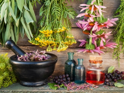 herbal-therapy-my-canadian-pharmacy